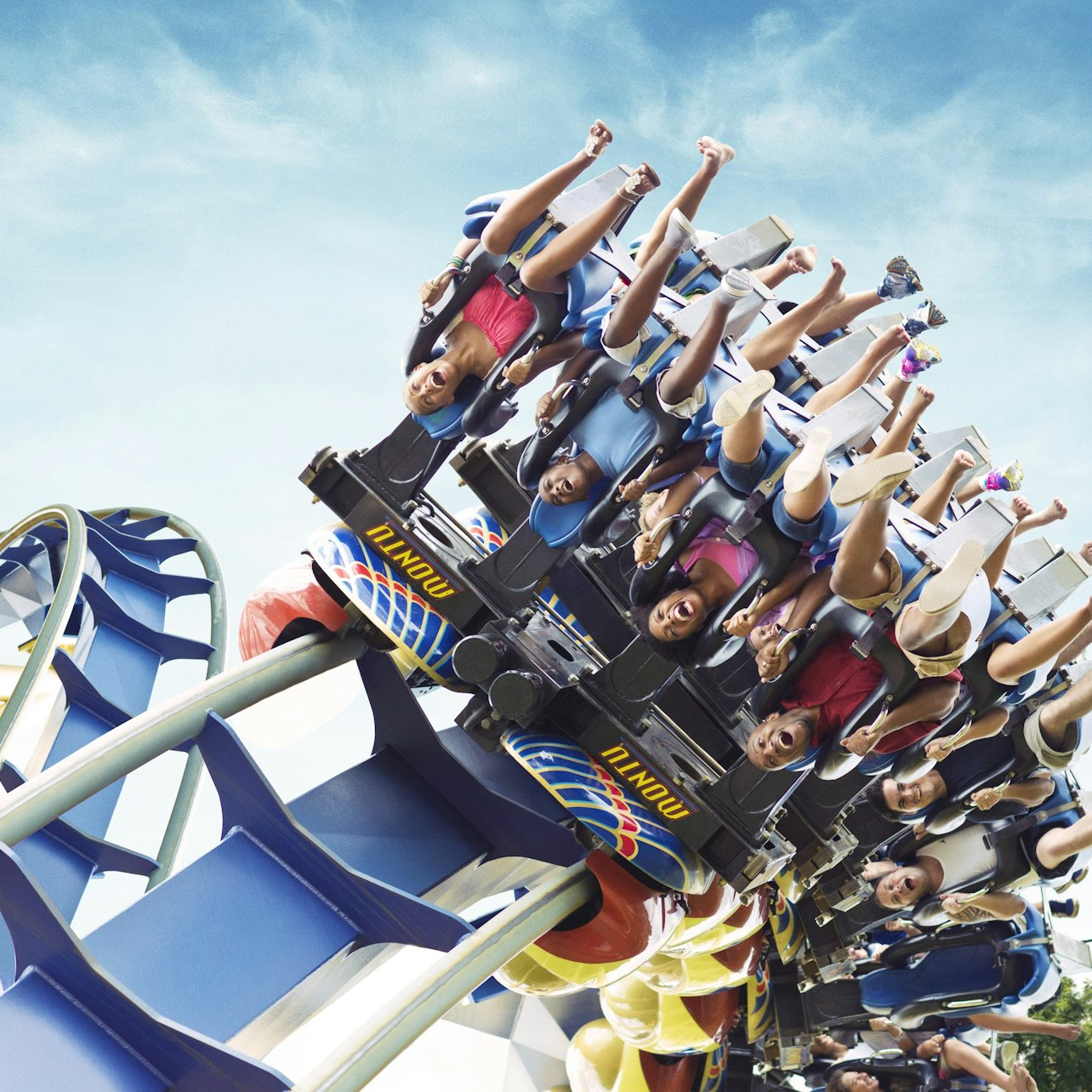 Busch Gardens Tampa: Entry Ticket with Optional Quick Queue - Photo 1 of 11